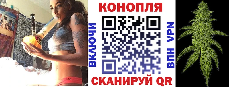 Псилоцибиновые грибы Иваново