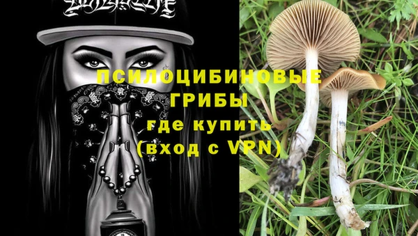 трава Володарск