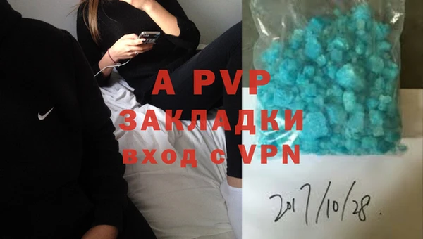 хмурый Верея